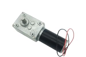 BRINGSMART 24V 40rpm DC Worm Gear Motor 40kg.cm Self-Locking Reversed Mini Turbine Geared Motor for DIY Robot Rotating Table Door Lock Curtain Machine (24V 40rpm)