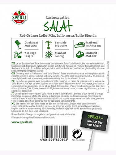 Salat Lollo-Mix Saatband 5mtr - 2