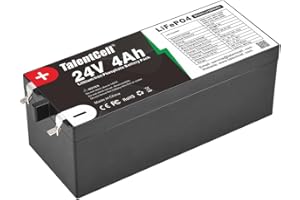 TalentCell LiFePO4 Battery, 24V 4Ah, Rechargeable, 25.6 V, 96Wh, Lithium iron Phosphate battery