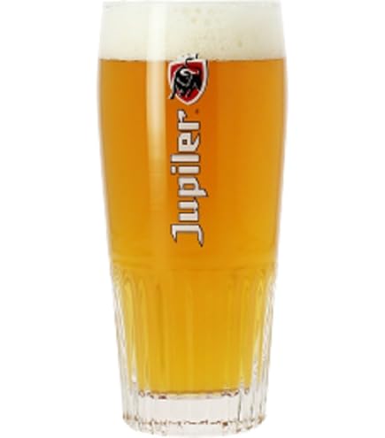 Heineken voerman Lot de 12 verres à bière 25 cl | FindTheDeal
