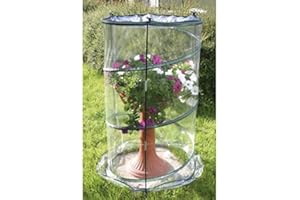 Verdemax - Serra Pop-up Anthurium cm 70xh110