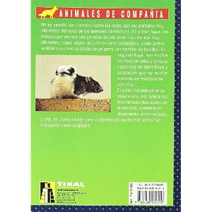 El nuevo libro de ratones y ratas domésticos
