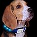 Produktbild Hunde Leuchthalsband LED Blinkhalsband Leuchtendes Halsbänder, JuzPetz Wiederaufladbare LED Hunde Sicherheits Halsband Hundehalsband Leuchtender Nacht Hundeband Reflektierende, blinkende sichtbare Kragen [Wasserbeständigkeit | 3 leuchtende Modi | Schnelle Freigabe Wölbungs] Einstellbare Hellem Halsband für Haustier mit USB Ladekabel - Klein [29-38 cm] - Blau