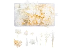 WJIAEER Trockenblumen Zum Basteln Trockenblumen Gepresste Blumen Trockenblumen Deko Getrocknete Blumen(Mix)