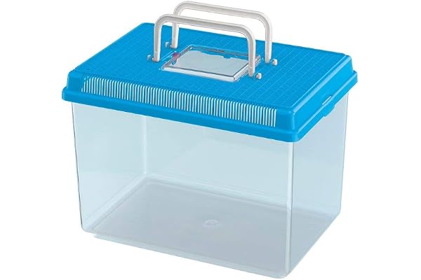 Ferplast Aquarium en Plastique pour Poissons Geo Large Bac Auarium 6 L Conteneur 30 X 20 X H 20,3 cm Bleu