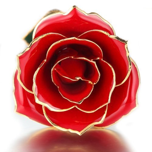 Zjchao 24 Karat vergoldet Echte Rose immer geöffnet als Geschenk für Hochzeitstag, Valentinstag, Weihnachten, Geburtstag, 29cm Länge, Verpackt in Geschenkbox mit klaren Display-Ständer (Rot) - 3