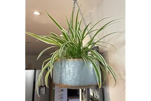 Fyne-Finds Grey Metal Hanging Plant Pot Flower Basket Garden Planter Gold Decorative Rim Gift