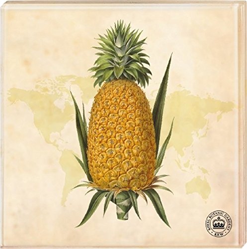 Preisvergleich Produktbild Kew Gardens - Untersetzer Motiv Ananas: Geschenkeschachtel mit 2 Exemplaren
