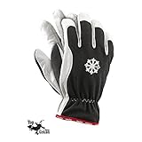 Winterarbeitshandschuhe aus Ziegenleder Gr. 10...