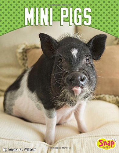 Preisvergleich Produktbild Mini Pigs (Snap)
