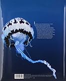 Image de Océans. Un film de Jacques Perrin et Jacques Cluzaud. Textes de :