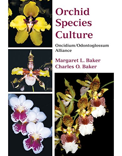 Orchid Species Culture: Oncidium/odontoglossum Alliance livre