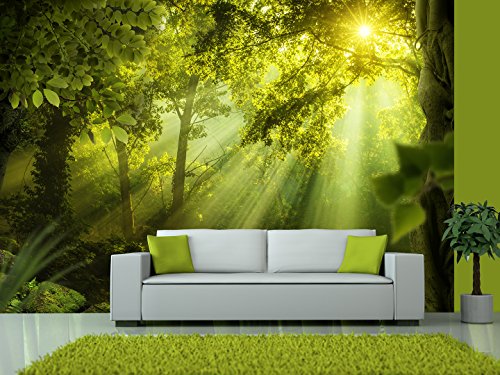 Vlies Fototapete 400×280 cm ! Top – Tapete – Wandbilder XXL – Wandbild – Bild – Fototapeten – Tapeten – Wandtapete – Wand – Wald Natur Landschaft c-A-0077-a-a - 2