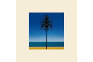 The English Riviera (Lp) [Vinyl LP]