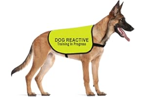 CENWA Reactive dog Jacket Vest for Training/Not Aggressive Service Dog Slogan Warning (REACTIVE Training M EU)