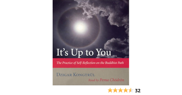 Buy It S Up To You The Practice Of Self Reflection On The Buddhist Path Book Online At Low Prices In India It S Up To You The Practice Of Self Reflection On The Buddhist
