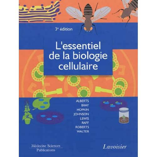 Biochimie Structurale Pdf