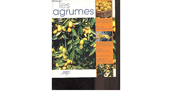 Amazon Fr Les Agrumes Andres Fabienne Livres Amazon Fr Les Agrumes Andres Fabienne Livres