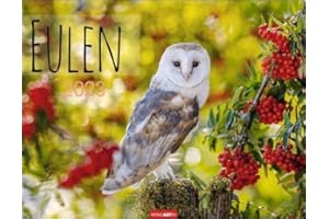 Eulen Kalender 2023. Beeindruckende Aufnahmen der majestätischen Vögel in einem großen Fotokalender. Ein Posterkalender 2023 für alle Fans der nachtaktiven Vögel.