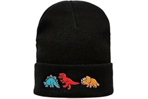 GENERIC Boys Winter Hat Dinosaur Embroidered Wooly Beanie Suitable for Age 2-7 Multicolour