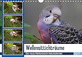 Wellensittichträume - Der neue Wellensittich-Naturkalender (Wandkalender 2017 DIN A4 quer): Ein wahrer Blickfang: Wunderschöne, naturnahe Aufnahmen ... (Monatskalender, 14 Seiten ) (CALVENDO Tiere) by