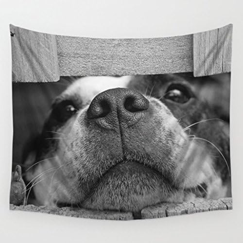 Tapestry QIAO Decoration 3D Printing And Dyeing Animal Decoration Room Bohemian Hippie Decorative Cloth Bed Cloth Beach Cloth Polyester A1 (Color : D, Size : 150x130cm)