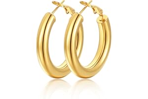 FindChic Orecchini Cerchio Donna in Acciaio Inossidabile Placcato Platini/Oro/Nero, Orecchio Piccolo Cerchio Tubolare 30/40/60/80mm da Donna