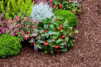 150 Gramm/m² Unkrautvlies, Gartenvlies 1,0 m x 25 m - 7