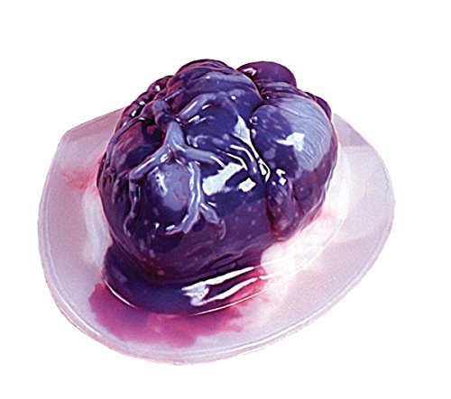 Gruseliges Gehirn & Herz Puddingform Set HEART & BRAIN - 3