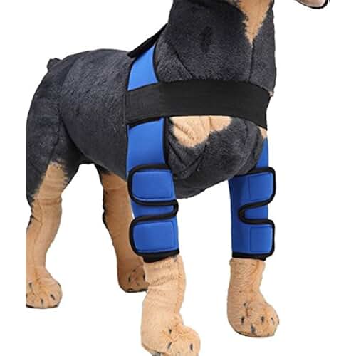 Suchergebnis auf Amazon.de für Neoprenanzug Hunde Haustier