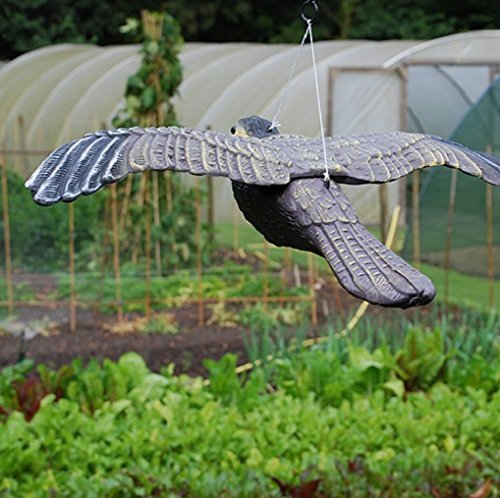 Defenders Fliegender Falke (Für Vögel und Tauben, Vogel-Abwehr, 33.3 x 51.5 x 9.4 cm) - 4