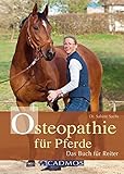 Image de Osteopathie für Pferde: Das Buch für Reiter (Cadmos Pferdebuch)