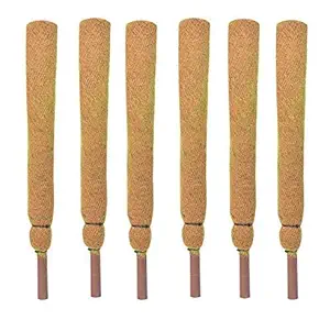 COIR GARDEN Coir Moss Stick/Coco Pole for Climbing Money Plants, Indoor and Outdoor Plants, 1.5 ft, 45 cm - Set of 6