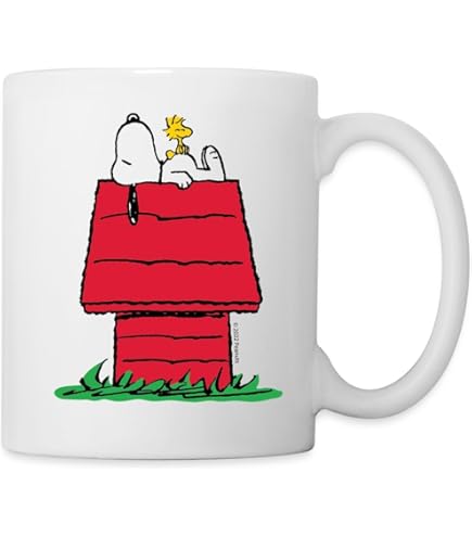 Ensemble Mug Et Chaussettes Renard Hiver - Cadeau Noël Original