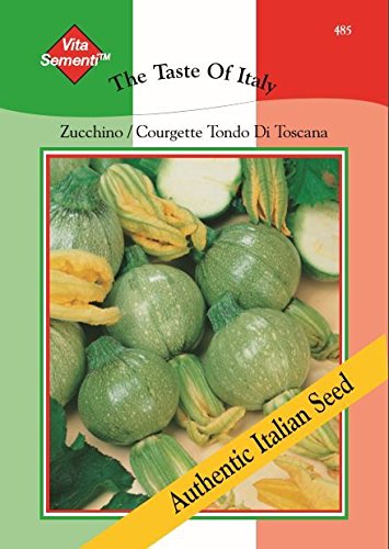 Thompson & Morgan - The Taste of Italy - Vegetables - Courgette Zucchino Tondo Di Toscana - 40 Seed