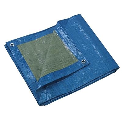 Ribiland – prb06502 x 03 Bâche de Protection 2 x 3 m, 65 GR, Multicolore