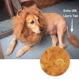 S: La mascota con una circunferencia de cuello de 50 cm puede llevarlo
