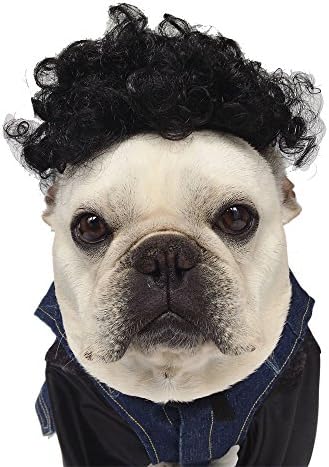InnoWill Dog Costume Adjustable Black Cirl Wig for Small Medium and Large Dogs Halloween Cosplay Party Photo Shoots