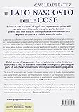Image de Il lato nascosto delle cose