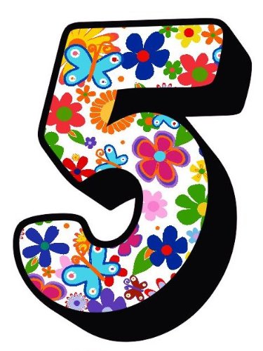 Flowers And Butterfly Number 5 Sticker For House Door / Wheelie Bin / Dustbin - Choose Number
