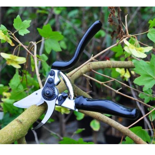 Preisvergleich Produktbild Keyzers Rollgriff - Gärtnerschere