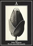 Piccola storia della fotografia. Ediz. illustrata