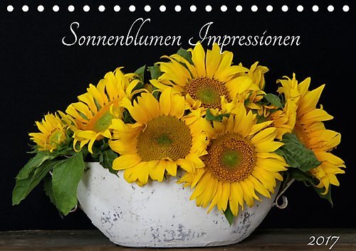 Sonnenblumen Impressionen (Tischkalender 2017 DIN A5 quer): Familie der Korbblütler (Geburtstagskalender, 14 Seiten ) (CALVENDO Natur)