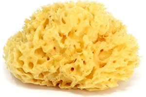 OKBABY Arcipelago - Spugna Naturale dal Mar Mediterraneo per il Bagnetto del Neonato, Ultra Soffice e Morbida, Ideale per la Pelle Delicata - Misura 10