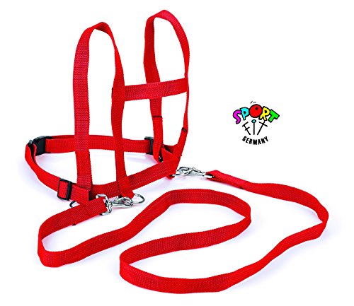 BLS 675-21 Laufleine Nylon, farbig - 2