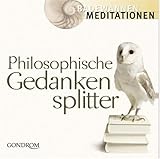 Image de Philosophische Gedankensplitter