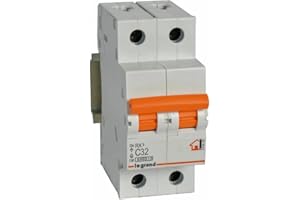 Interruptor magnetotermico para vivienda Legrand 419938RX3 2 polos 6KA32A