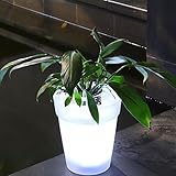 LED-hochwertige dekorative Blumenlampe hat ein hochwertiges Aussehen, neuartiges Design, kann auf eine Vielzahl von Innen- und Außenanlässen angewendet werden, um eine romantische Atmosphäre zu schaffen, optimieren Sie den Landschafts-Stil.
