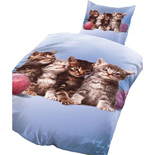 Bertels Kitty 135 2 teilig Bettwäsche-Set, Mikrofaser, hellblau, 38,6 x 28,2 x 4,6 cm