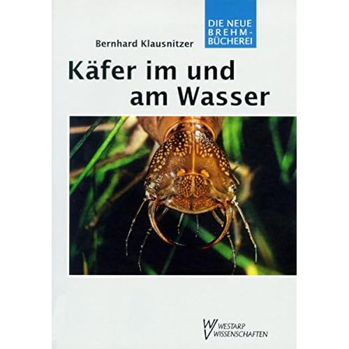 Käfer im und am Wasser